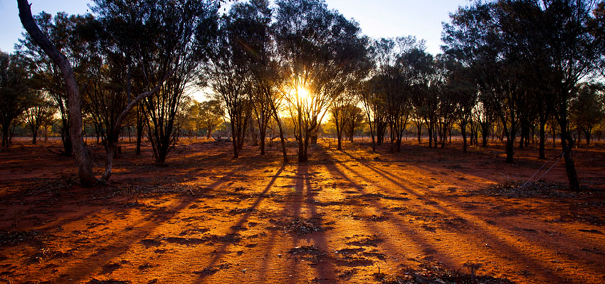 Selling Bushfire Prone Land