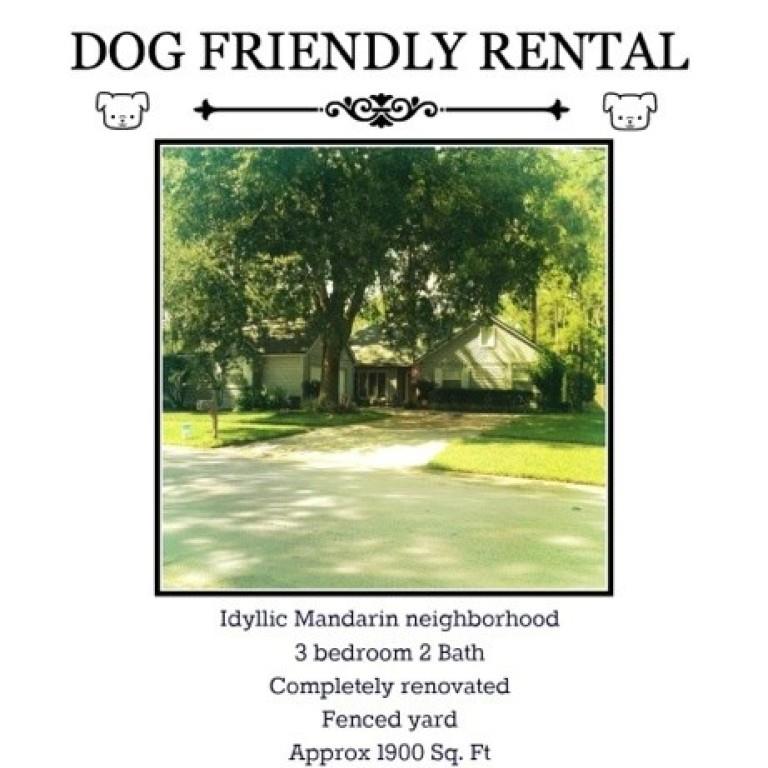 dog-only rental