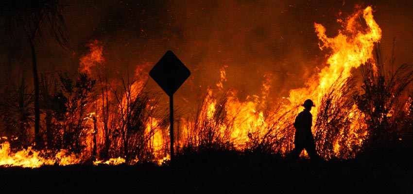 Bushfires