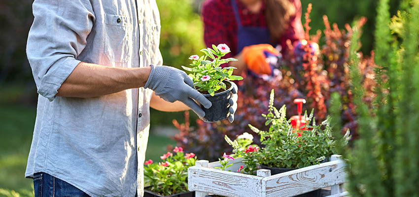 Gardening