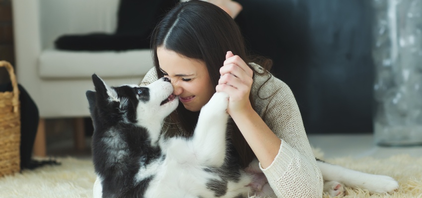 Pet-friendly homes