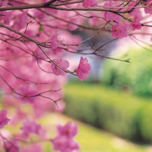 Spring tips for landlords