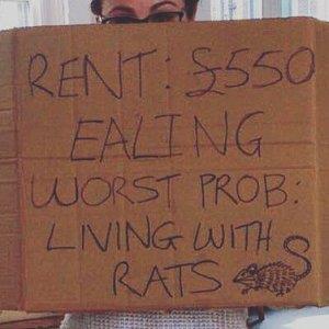 Friday Funnies: Social media letting tenants #VentYourRent